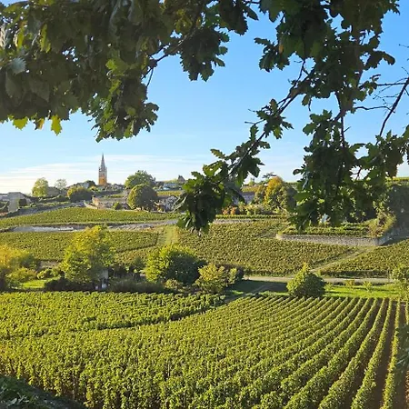 Chateau Touzinat -